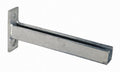 TS40 Cantilever Support Arm with 2 Holes